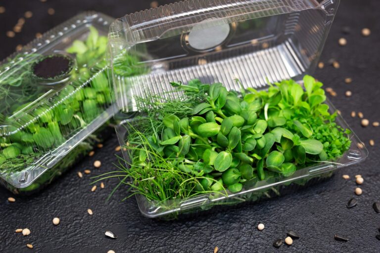 Two clear plastic clamshell containers of mixed microgreens on a dark slate surface